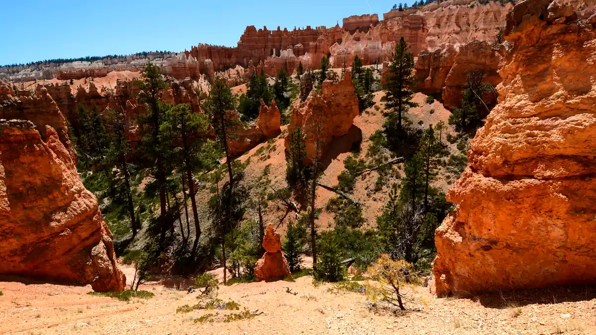 Hoodoos am Navajo Loop Trail im Bryce Canyon Nationalpark