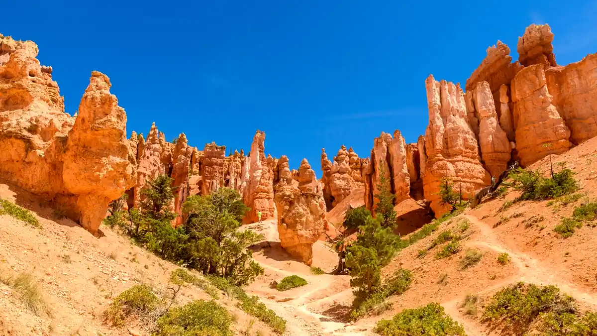 Orangerote Hoodoos im Bryce Canyon Amphitheater bei tiefem Morgenlicht