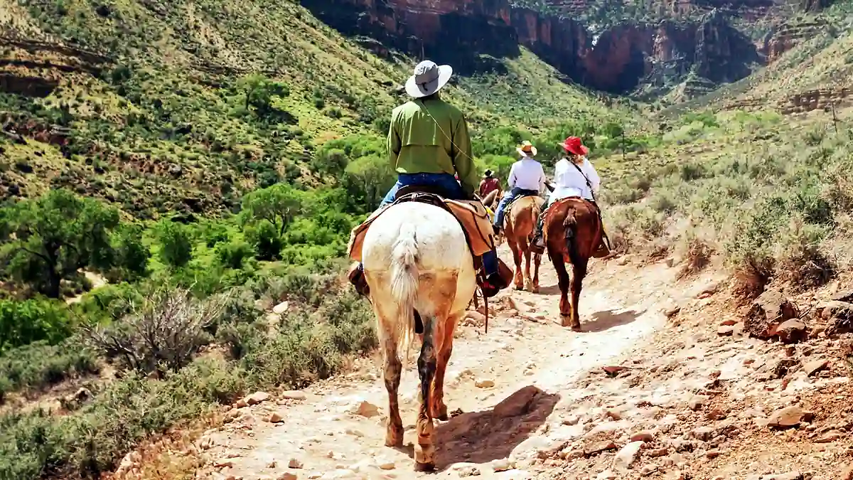 Trail und weite Gesteinsschichten im Grand Canyon in Arizona