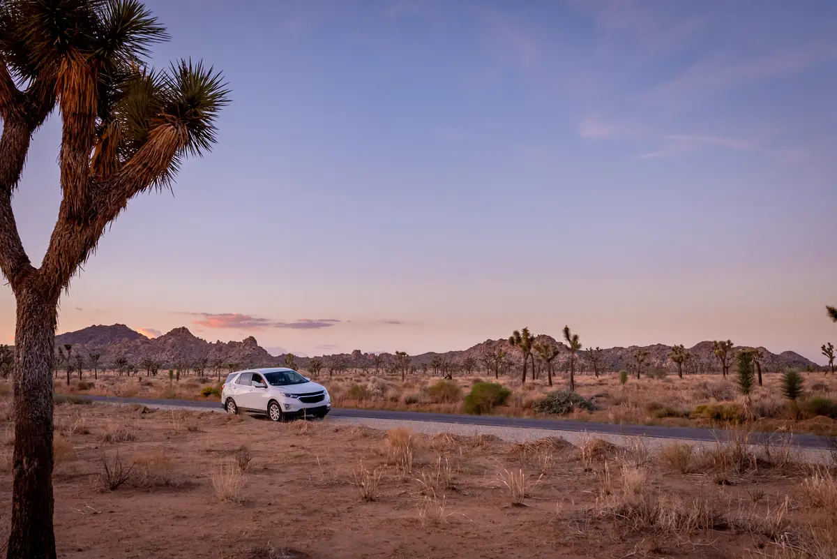 Joshua Tree Nationalpark mit dem Mietwagen erkunden