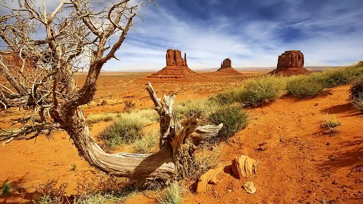 West Mitten Butte und rote Hochwüste im Monument Valley