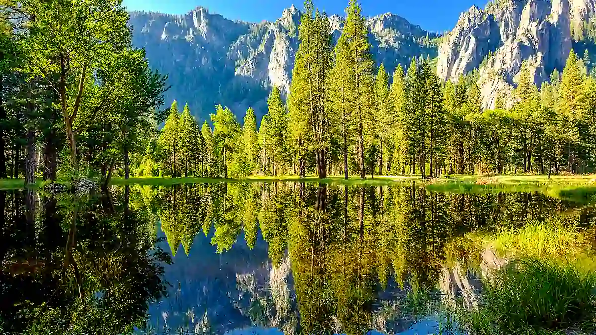 Cathedral Rocks mit Spiegelung im Wasser im Yosemite Nationalpark