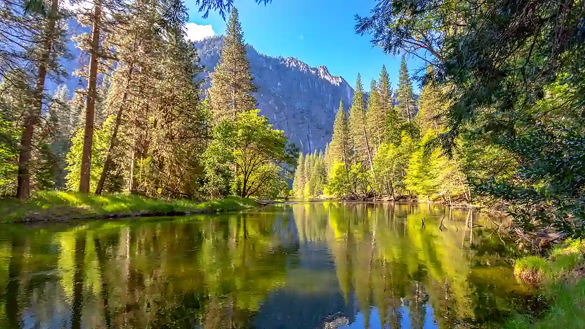 Merced River und Waldlandschaft im Yosemite Nationalpark