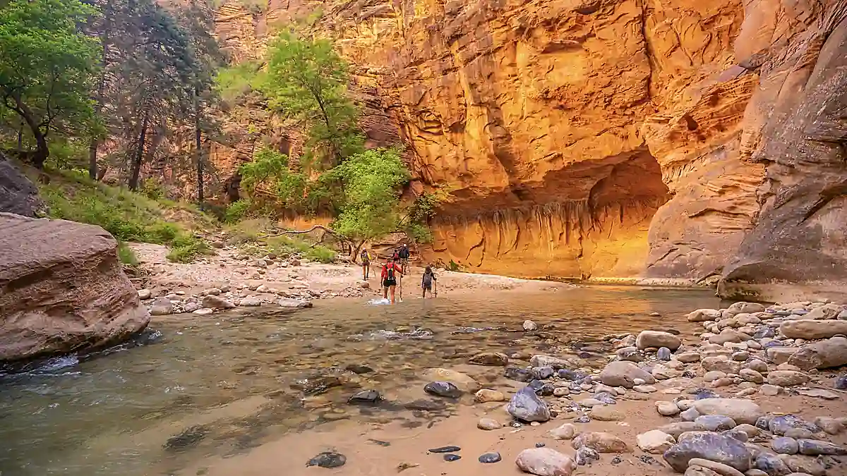 Wanderer im Virgin River in den Narrows des Zion Nationalparks